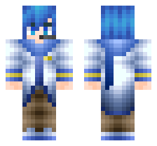 skin