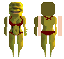 skin