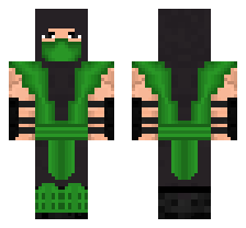 skin