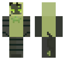 skin