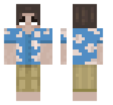 skin
