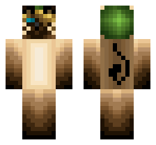 skin