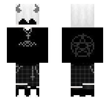 skin