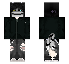 skin