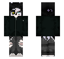 skin