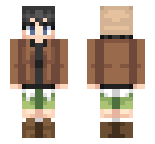 skin