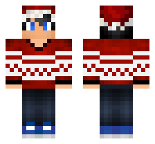 skin