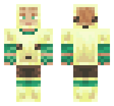skin