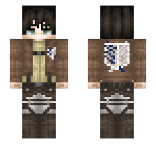 skin