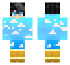 skin
