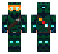 skin