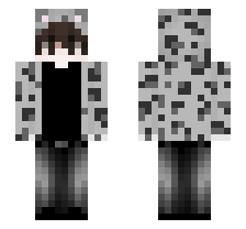 skin
