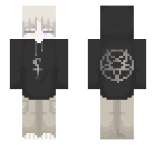 skin