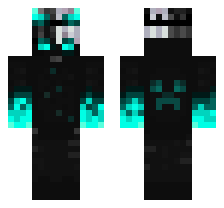 skin
