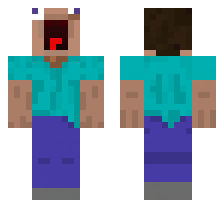 skin