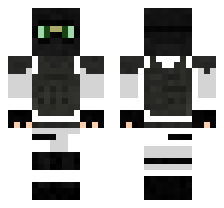 skin