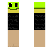 skin