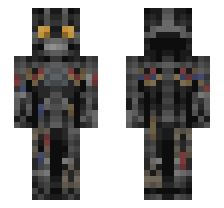 skin