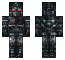 skin
