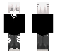 skin