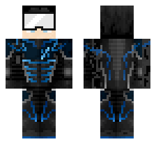 skin