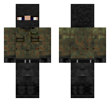 skin