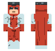 skin