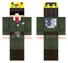 skin