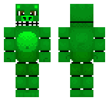 skin