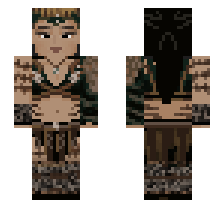 skin