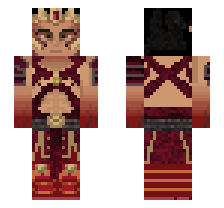 skin