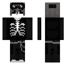 skin