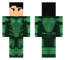 skin