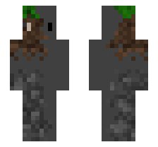 skin