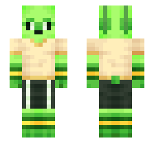 skin