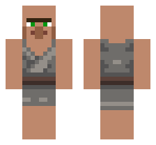 skin