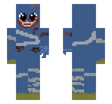 skin