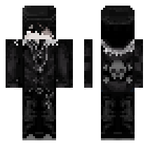 skin
