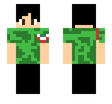 skin
