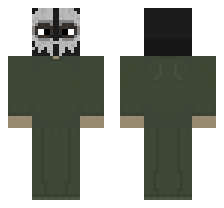 skin