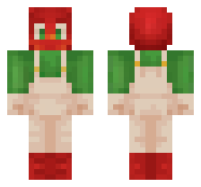 skin
