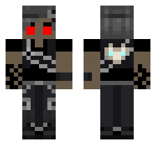 skin