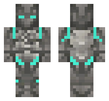 skin