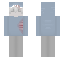 skin