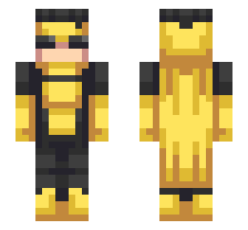 skin