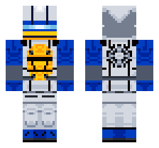 skin