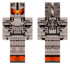 skin