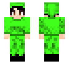 skin