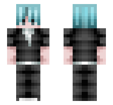 skin