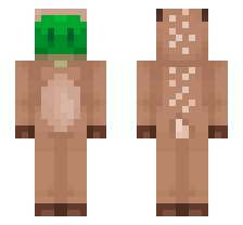 skin